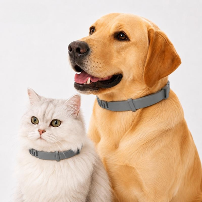 Flea and Tick Prevention Collar