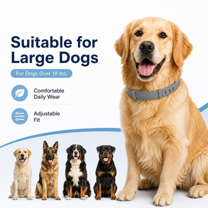 Flea and Tick Prevention Collar