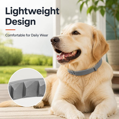 Flea and Tick Prevention Collar