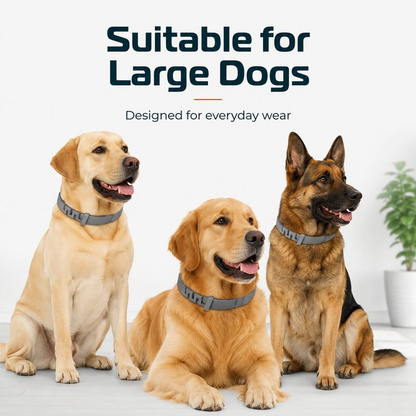 Flea and Tick Prevention Collar